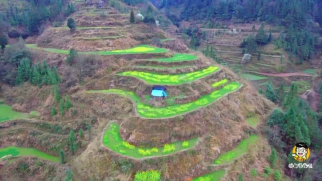 航拍贵州大山里一个小木屋,这里风景优美,太适合隐居了