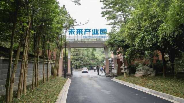 一睹为快!“2050营地桐庐”开营