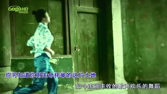 舒丽萍:南薰桥上念红军