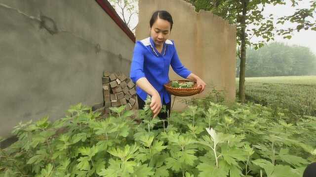 农村常见的艾草,是女人专属的天然食疗佳品,原来功效这么多!