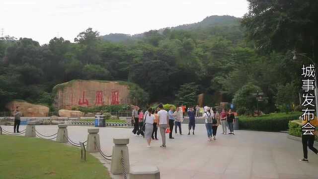 随拍深圳著名的凤凰山森林公园,风光秀丽,曾经是新安八景之一