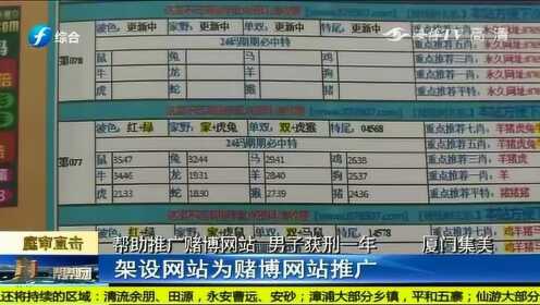 帮助赌博网站推广，收取服务费26万余元，一男子被判刑！