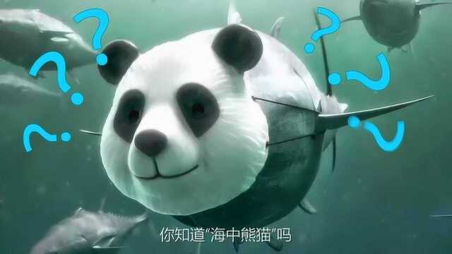 海中熊猫小头鼠海豚