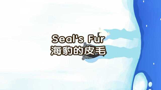 4. Seal's Fur 海豹皮