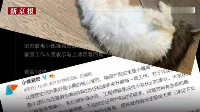 小佩智能猫窝倒扣致猫死亡