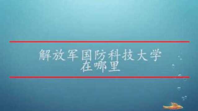 解放军国防科技大学在哪里