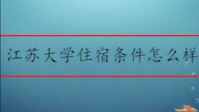 江苏大学住宿条件怎么样