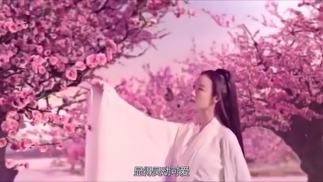 《宸汐缘》正式定档,倪妮古装灵动可爱,女二张芷溪全剧最美