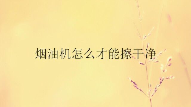 烟油机怎么才能擦干净