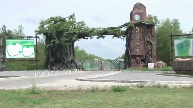 黑龙江安邦河国家湿地公园,双鸭山唯一一家国家4A级旅游风景区