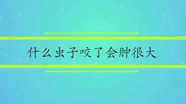 什么虫子咬了会肿很大