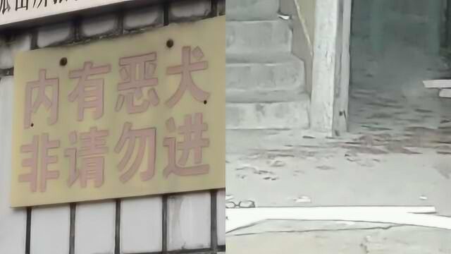 警方通报员工被公司3条狗咬死:法人代表和饲养者被刑拘