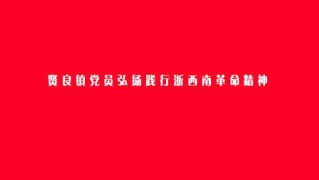 贤良镇党员弘扬践行浙西南革命精神