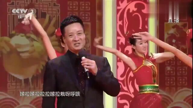 阎维文表演《大红公鸡毛腿腿》经典民歌,婉转动听,真好听