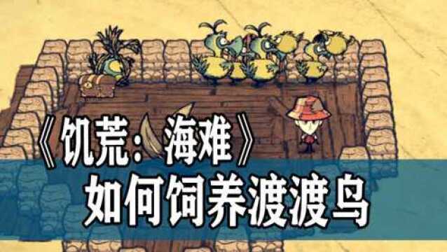 《饥荒:海难》攻略:如何寻找与饲养渡渡鸟