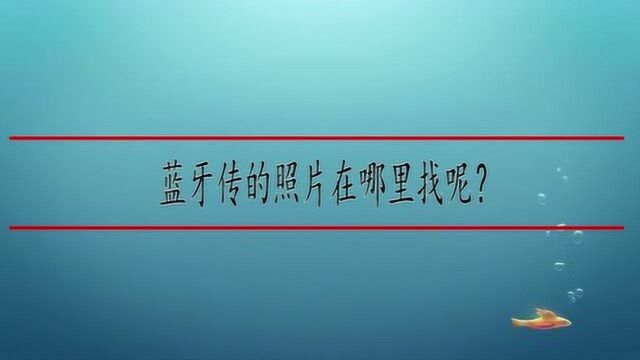 蓝牙传的照片在哪里找呢?