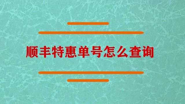 顺丰特惠单号怎么查询呢?