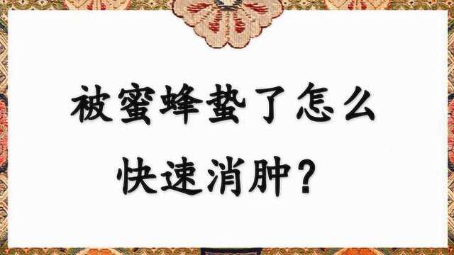 被蜜蜂蛰了怎么快速消肿?