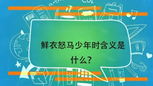 鲜衣怒马少年时含义是什么?