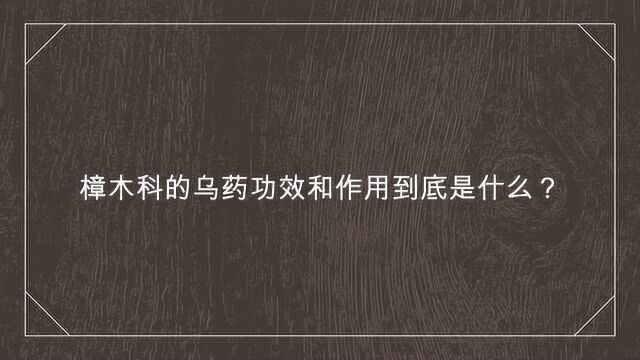 樟木科的乌药功效和作用到底是什么?