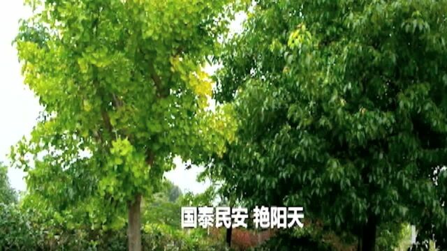 罗田文旅局退休干部抗疫新戏选段火爆罗田网络圈