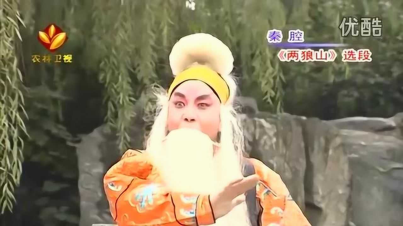 孟金平秦腔两狼山选段