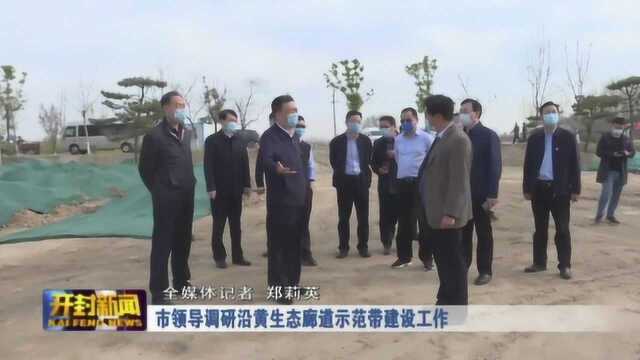 市领导调研沿黄生态廊道示范带建设工作