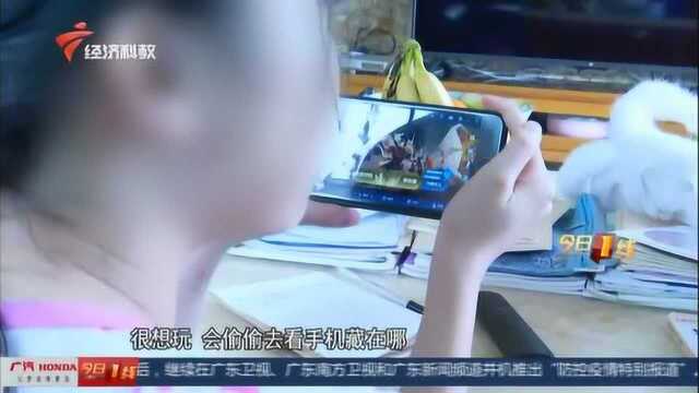 广州天河:小学生趁上网课 十天刷爆2.5万打“王者”