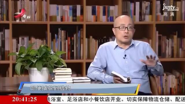 狗的祖先其实是狼,因抢不过狼才“投靠”人类,是动物的自主选择