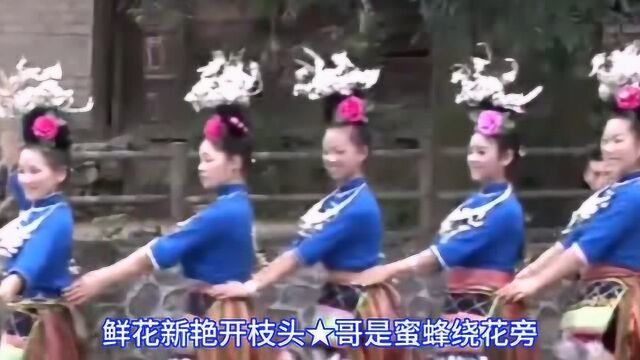 云贵山歌小小蜜蜂采花忙演唱:阿芳