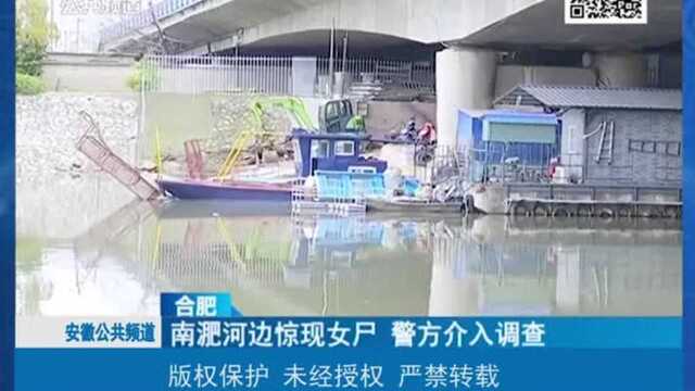 合肥:南淝河边惊现女尸,河道清理工打捞后报警