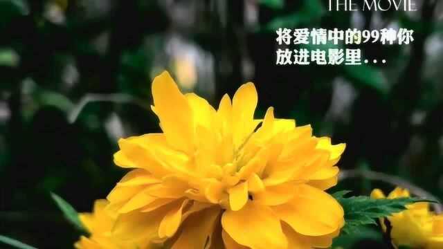 随手可见的花花草草怎么拍,常用的3种构图安排,玩转手机摄影!