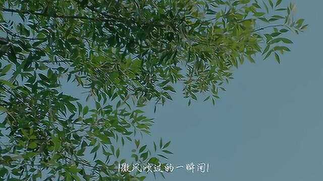 doki饭制|肖战 我的亲亲学长 花痴校园风