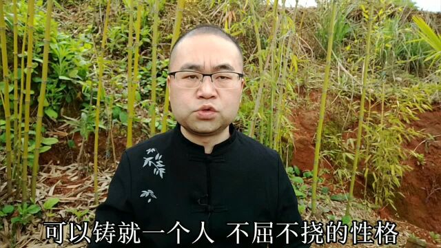 滋杨:坐拥4000万粉丝,美食领域李子柒的自媒体内容定位②,不屈服命运