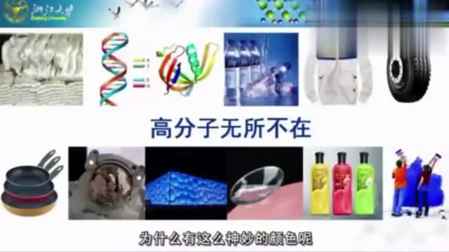 浙江大学教授郑强,讲解什么是高分子?