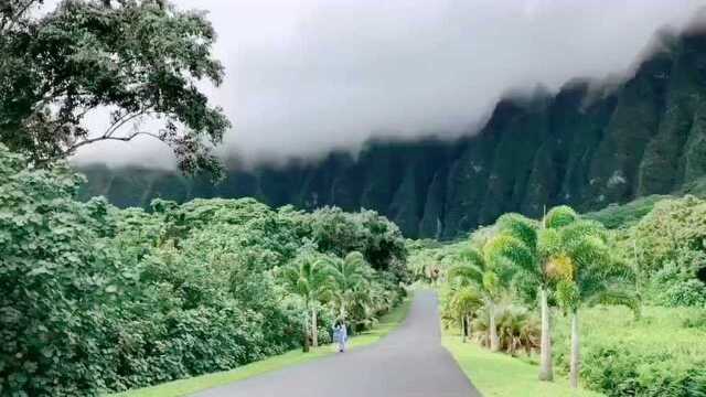 美丽的海南五指山下 有一道“惊人”的风景