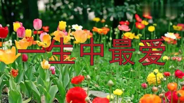 曼里演唱《一生中最爱》,歌词走心,一开口就被迷住