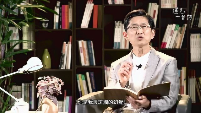 林婉瑜 你是我最斑斓的幻觉