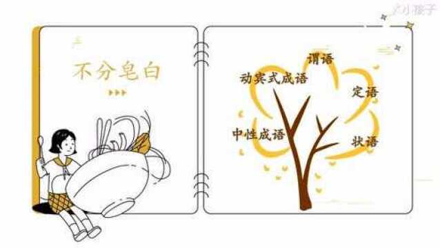 一分钟了解不分皂白的出处、释义、近反义词|小孩子点读