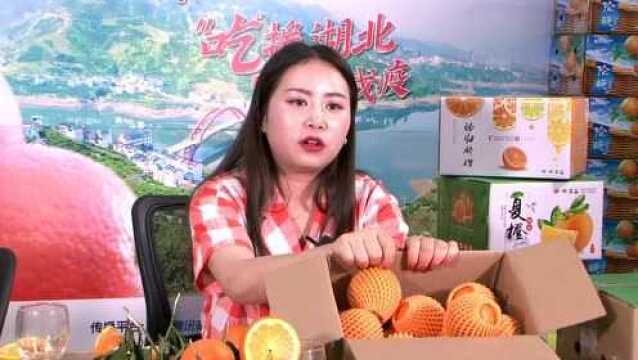 吃援湖北食力战役:秭归脐橙