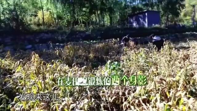 大张伟坦言在农村比在酒店睡得好,心里事装得少,睡着的就快