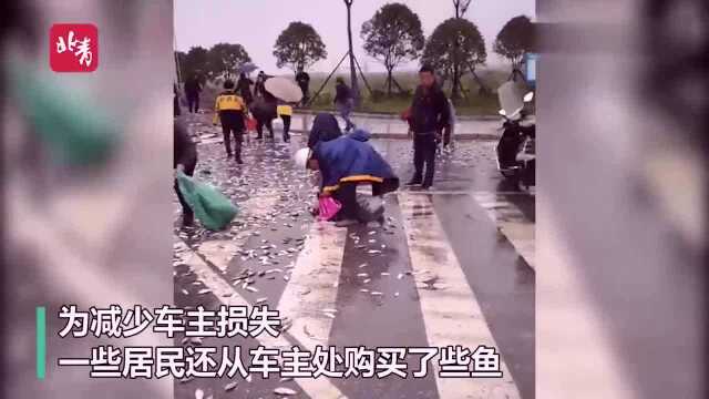 可惜了一车鱼!湖南宁乡运输车侧翻,热心市民旱地帮捕鱼