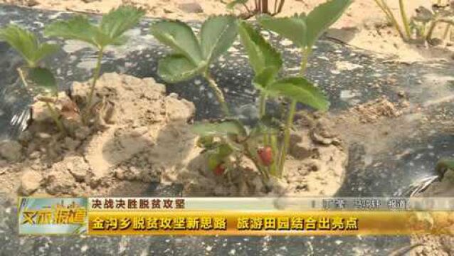 金沟乡脱贫攻坚新思路 旅游田园出亮点