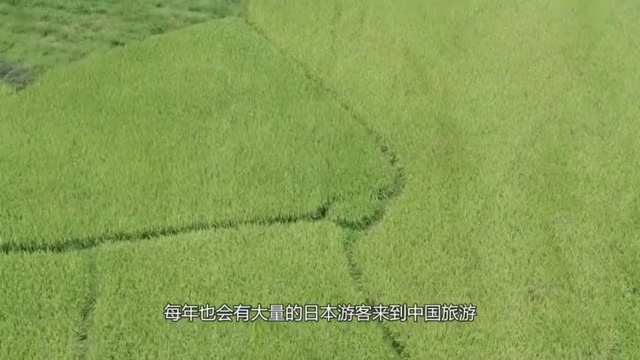 大量日本美女涌入中国,名义上是来旅游,目的只为带走这两样东西