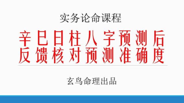 辛巳日柱疑难八字近几年财运起伏反馈上期节目续集