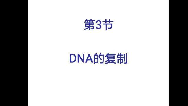 DNA的复制1