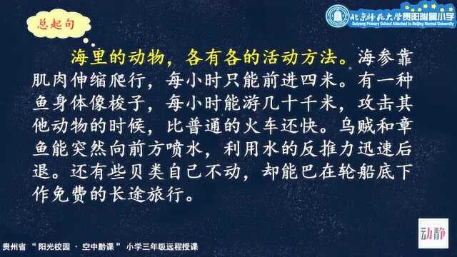 0512001三年级语文 23《海底世界》第二课时