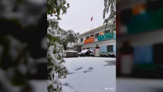 甘肃五月飞雪,罕见