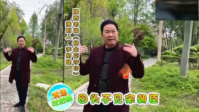 豫剧人李树建,原汁原味、豫西老调《杨金花夺印》,好听,大赞!