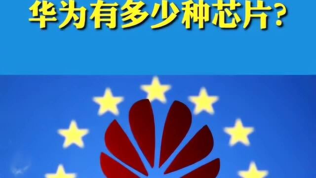 华为有多少种芯片?光看取名就很霸气!“中国芯”13亿国人的骄傲……